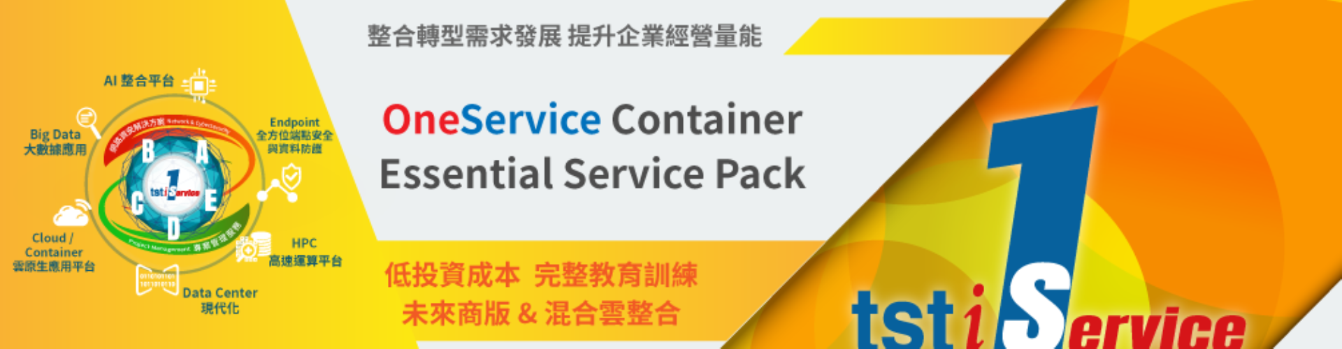 大世科-EDM OneService Container Essential Service Pack